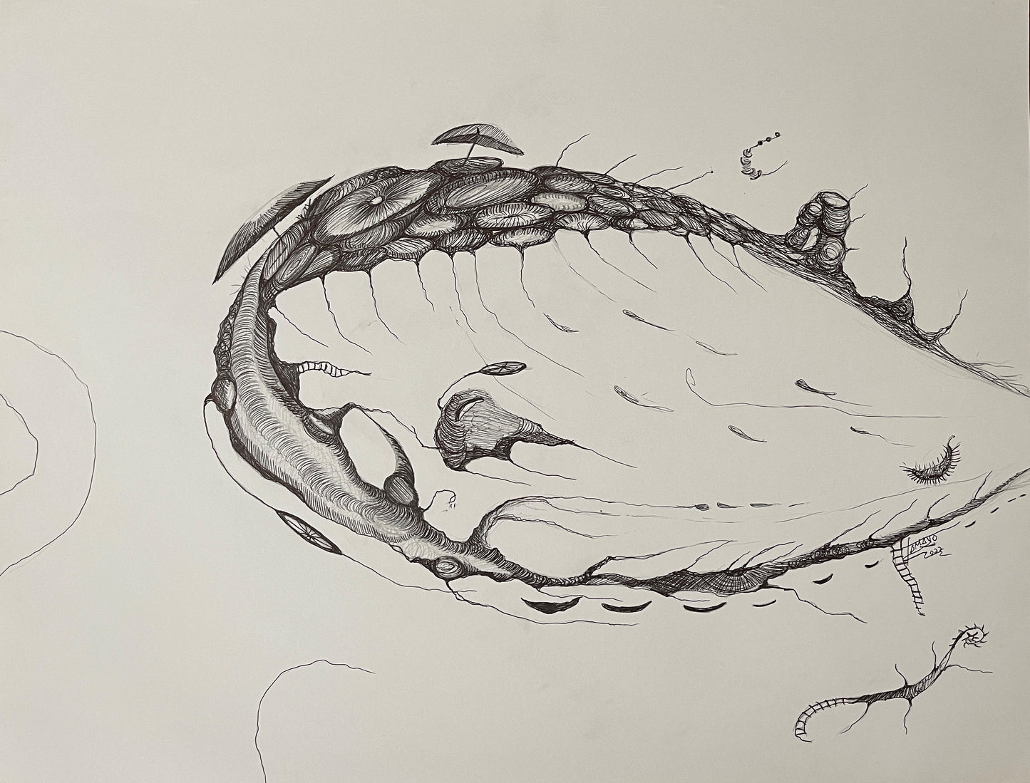 Dibujos Durante Covid 2