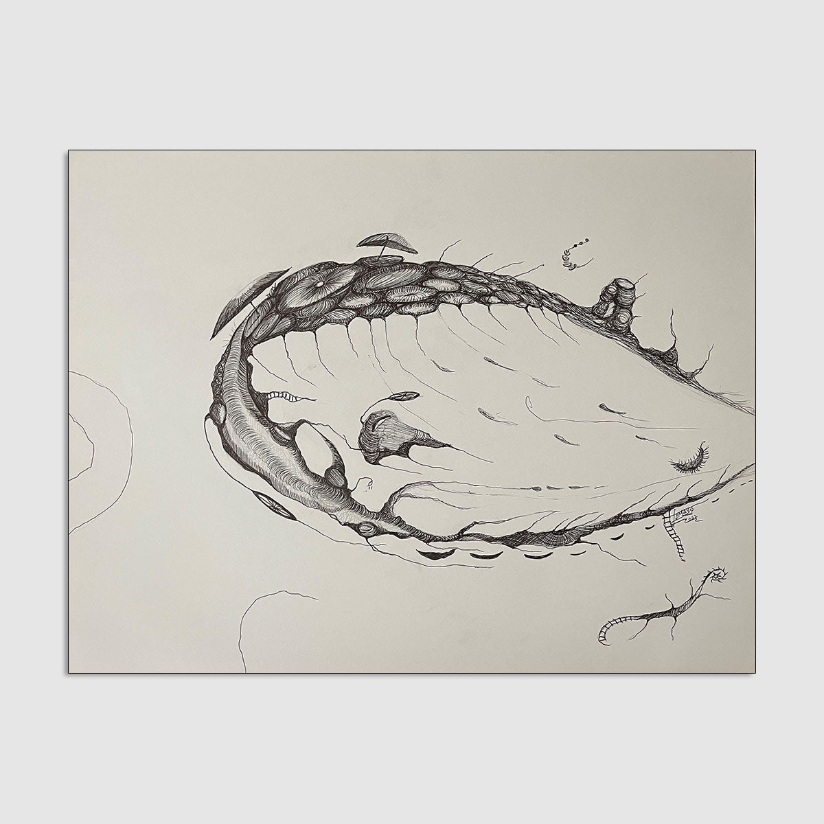 Dibujos Durante Covid 2