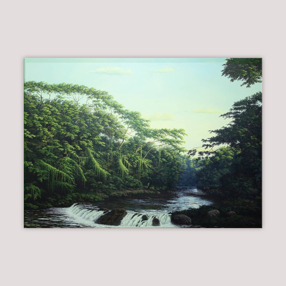Bosque de la Habana